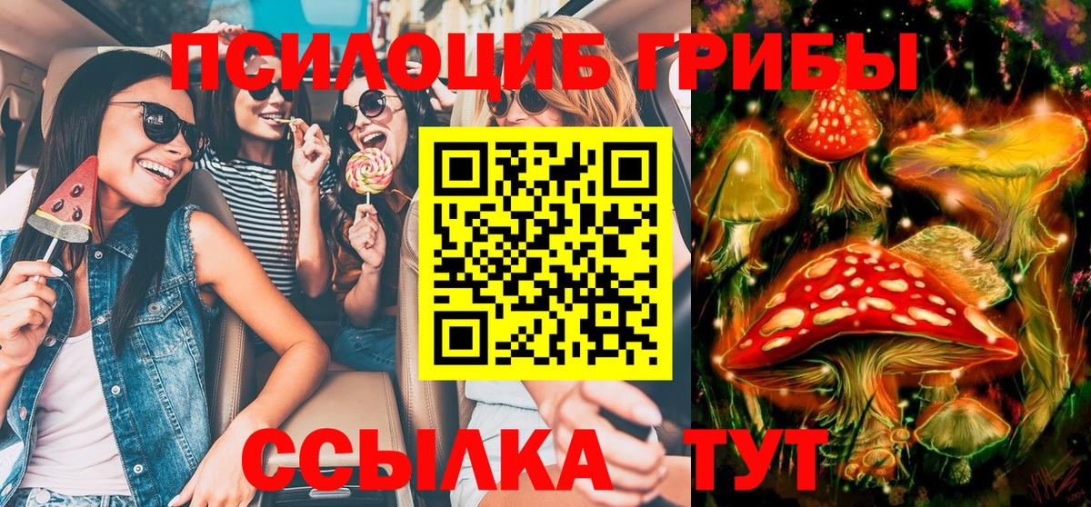 Псилоцибиновые грибы MAGIC MUSHROOMS  Вход с VPN  Альметьевск 