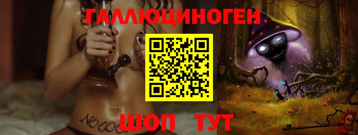 Псилоцибиновые грибы Psilocybe Альметьевск